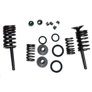 Set valvulas admision/escape zs 150