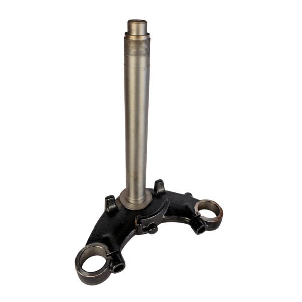 Estercio de ax 100