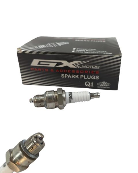 BUGIA GX MODELO B7HS