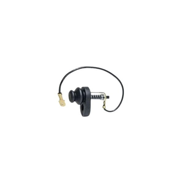 SWITCH PUERTA B310 B11 (40-038)
